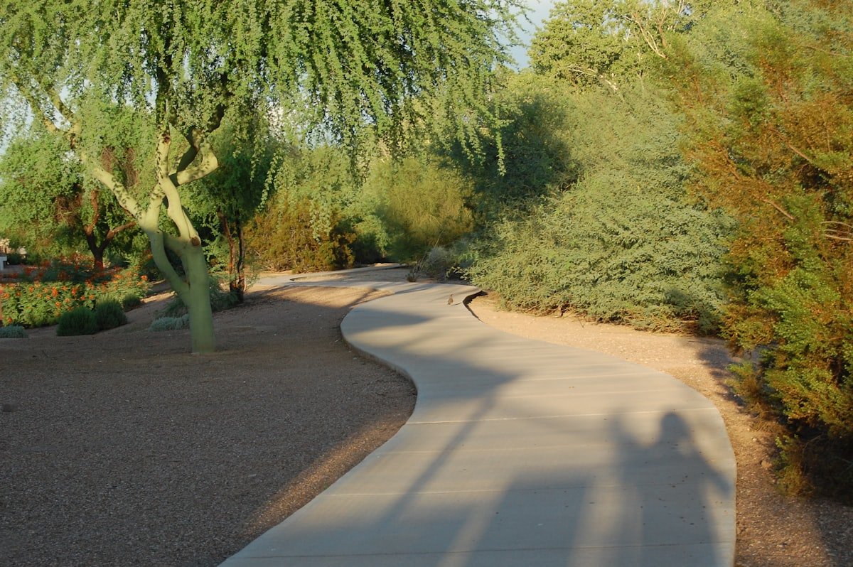 Front Walkway Replacement